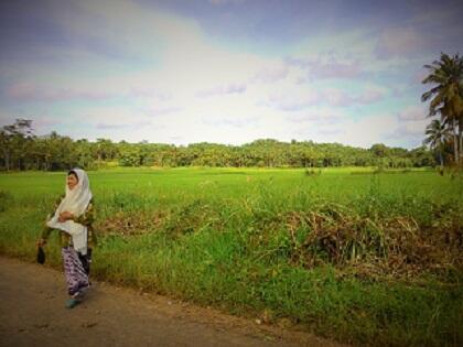 Gores-Gores Keresahan