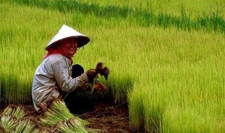 Ini Singkatan Yang Dibuat Bung Karno untuk Petani