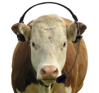 Macam-macam orang kalau pakai headset