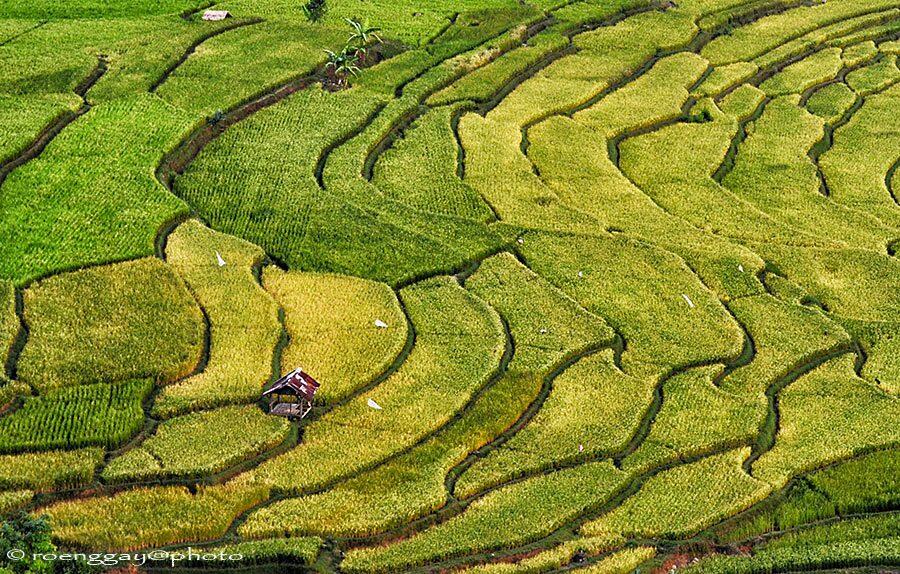 Keunikan Kabupaten Solok Yang Jarang Diketahui Umum