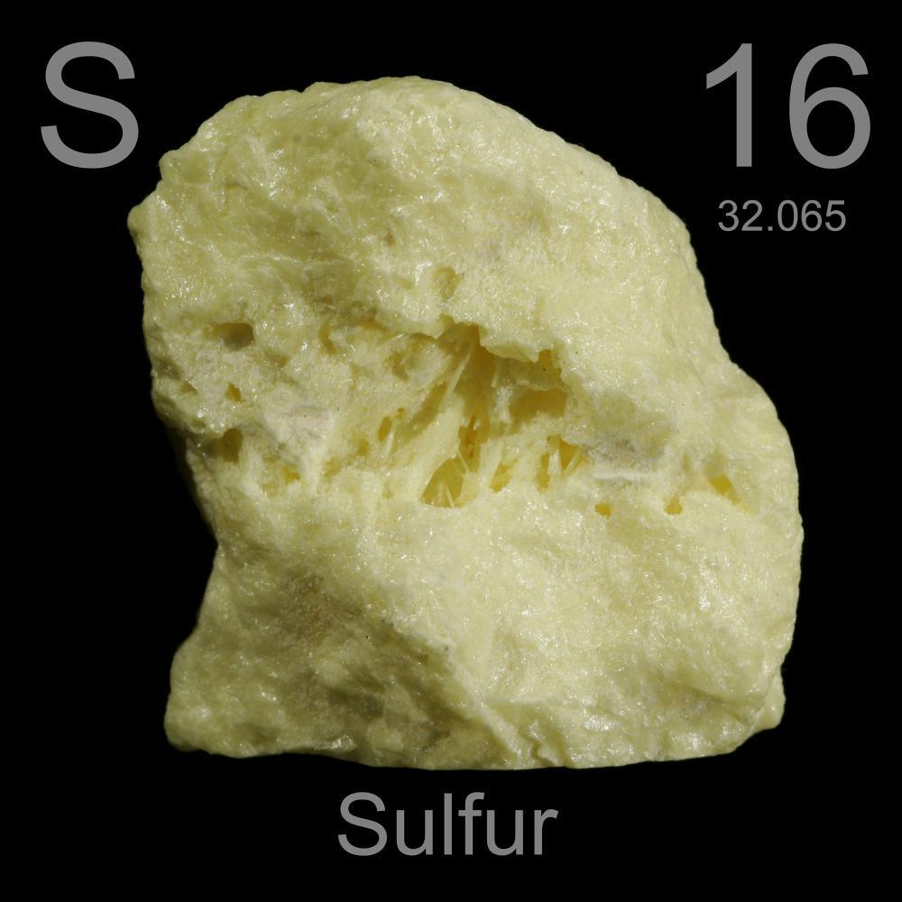 Mineral Dalam Makanan dan Kegunaannya Bagi Tubuh