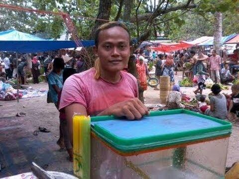 Bertingkah Genit Ternyata Ada Manfaat Positifnya Sisgan!