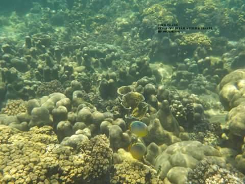 &quot;Mandeh&quot; Si Raja Ampat Ala Sumatera Barat