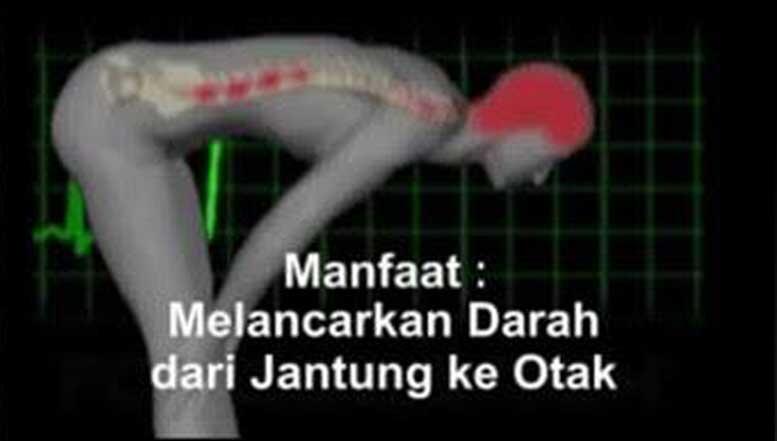 MASYA ALLAH!!! Inilah Manfaat setiap Gerakan Sholat bagi Kesehatan