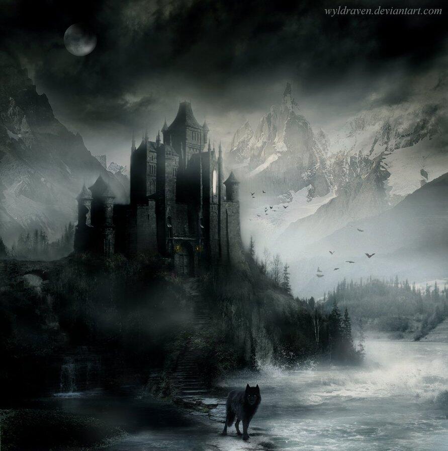 TRANSYLVANIA GAME
