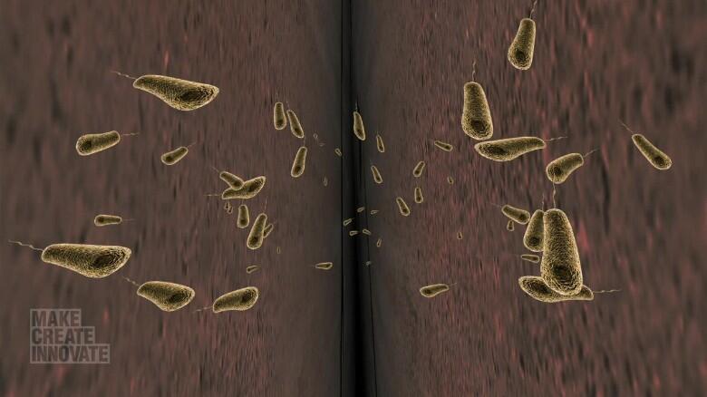 Tentang Material Beton yang Hidup