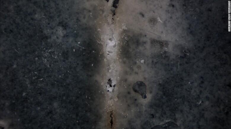 Tentang Material Beton yang Hidup