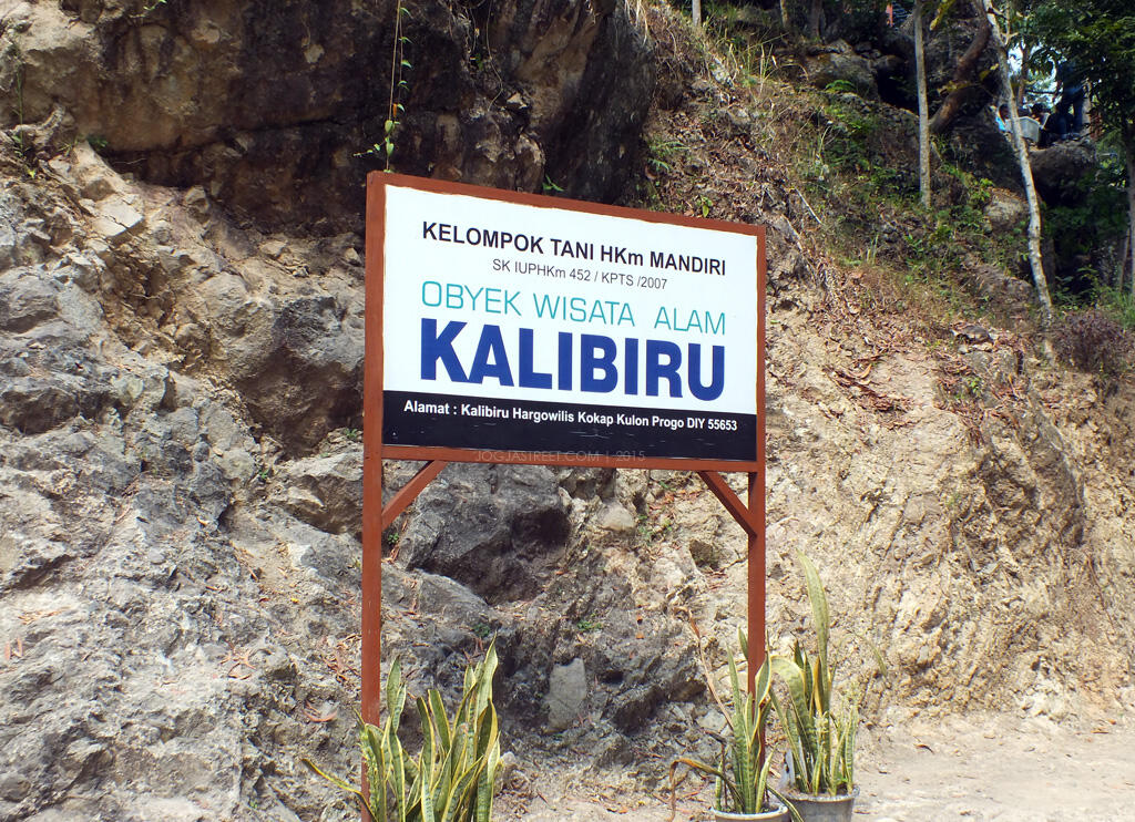 Kalibiru Potret Keindahan Bukit di Barat Yogyakarta
