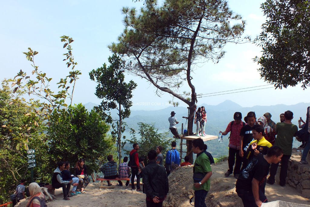 Kalibiru Potret Keindahan Bukit di Barat Yogyakarta