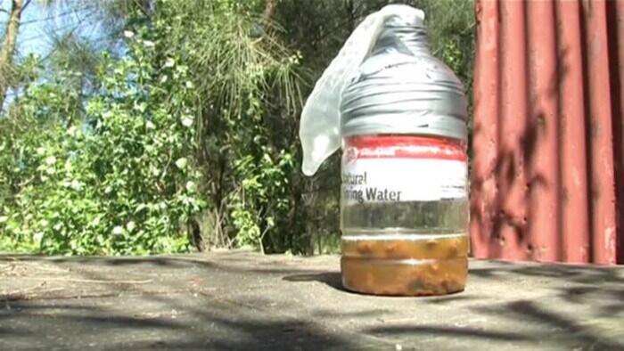 6 Jenis Drugs Paling Berbahaya yang Jarang Dikenal Orang