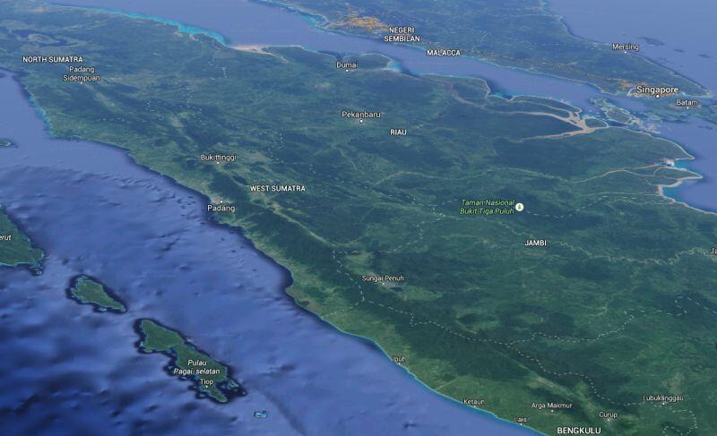 Mentawai Berpotensi Gempa 9 SR dan Tsunami, BNPB Terus Lakukan Persiapan