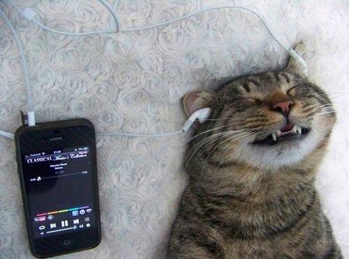 Yang Seger-seger Bikin Agan Melek Lagi!