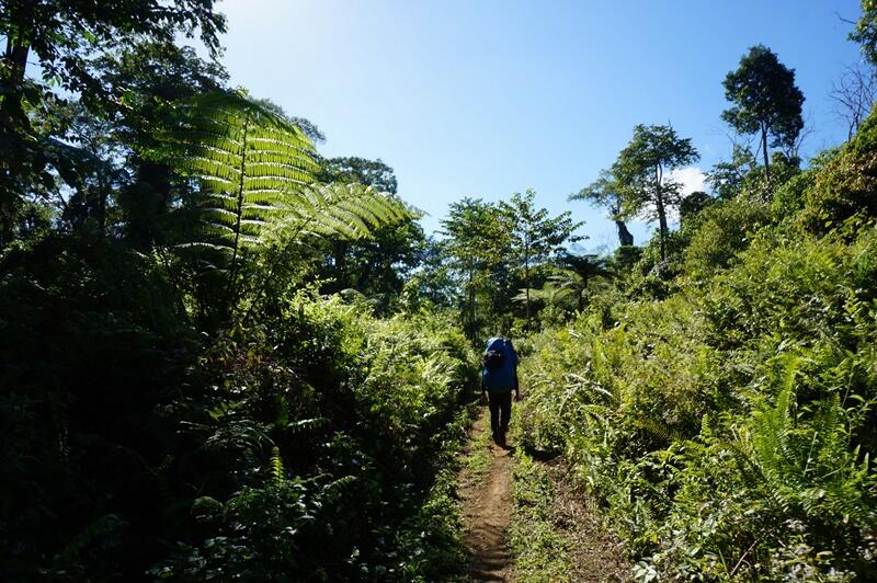 &#91;Catatan Perjalanan&#93; Pendakian TAMBORA 2851 Puncak Tertinggi Sumbawa.