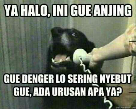 Seberapa Cerdas Anda?