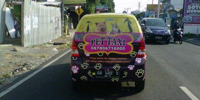 &#91;Kreatif Bangetz&#93; Pet Taxi, Taksi Khusus Binatang di Jogja