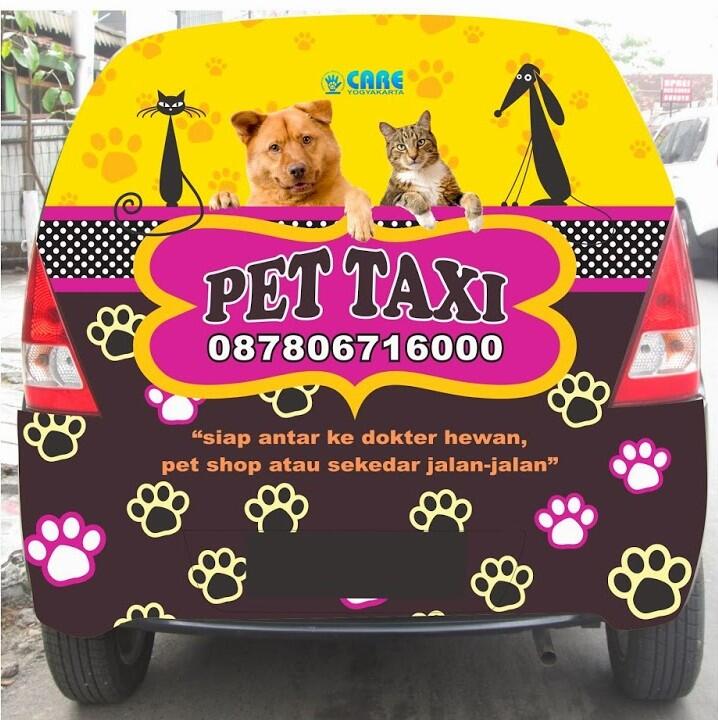 &#91;Kreatif Bangetz&#93; Pet Taxi, Taksi Khusus Binatang di Jogja