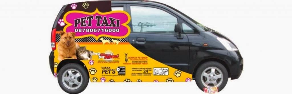 &#91;Kreatif Bangetz&#93; Pet Taxi, Taksi Khusus Binatang di Jogja