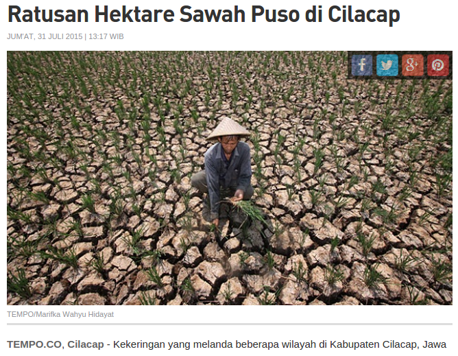 Begini Solusi Presiden Jokowi Atasi Kekeringan