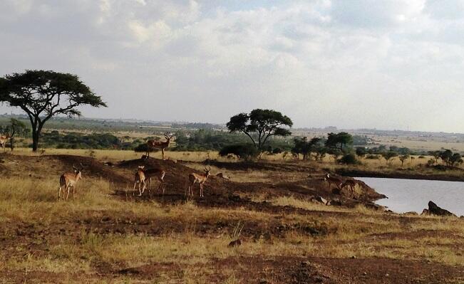 Melipir ke Nairobi, Kenya - Dakar, Senegal (From East Coast to West Coast of Africa)