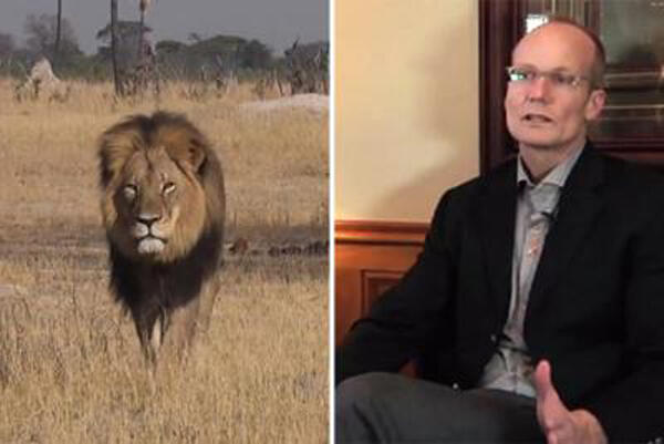 Mengenal Cecil, Singa Jantan yang Dibunuh oleh Seorang Warga Amerika