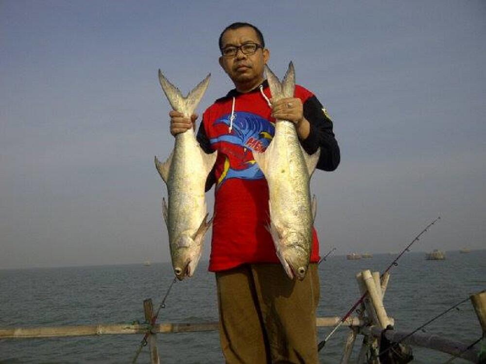 Mancing Bagan Mania