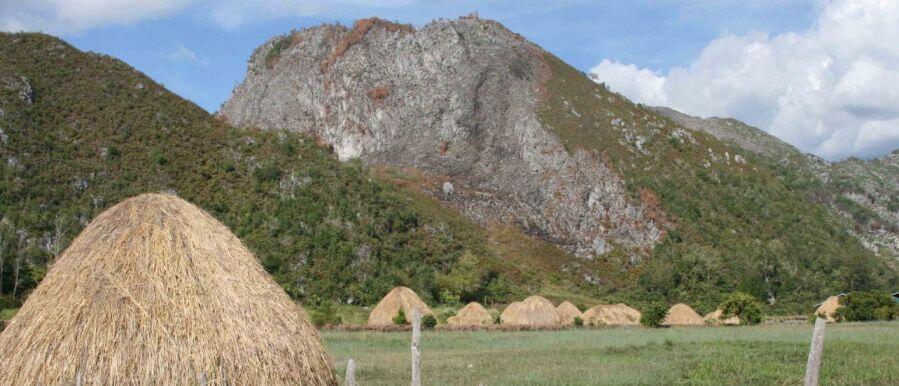 20 Hutan Paling Mengesankan di Dunia