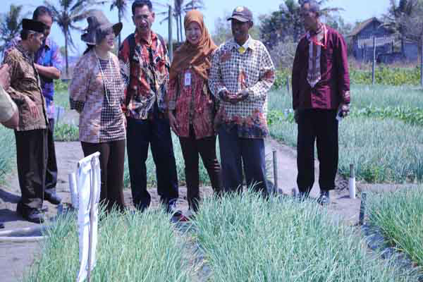 Petani Protes import Bawang Merah Di buka, Titiek Soeharto : Awasi Harga Bawang Merah