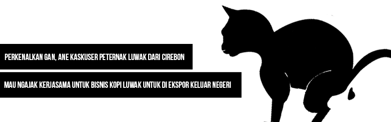 Peluang Investasi Kopi Luwak Ekspor Modal Mulai Dari Rp 12jt profit 15%