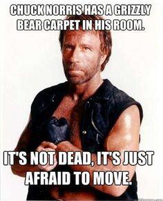 Chuck Norris Joke (lucu ya syukur, ga lucu ya dipaksa ketawa aja) (PIC)