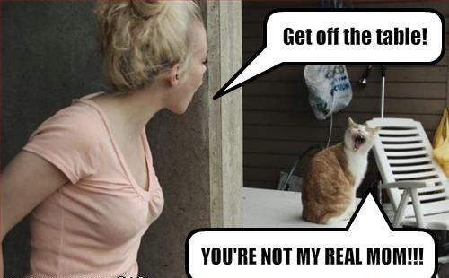 Funny Pics!!! Hajar gan