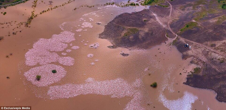 Foto-Foto Indah Hasil Jepretan Drone