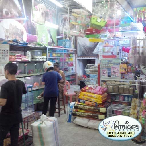 Amigos Petshop Makassar - Petshop Terlengkap dan Terpercaya