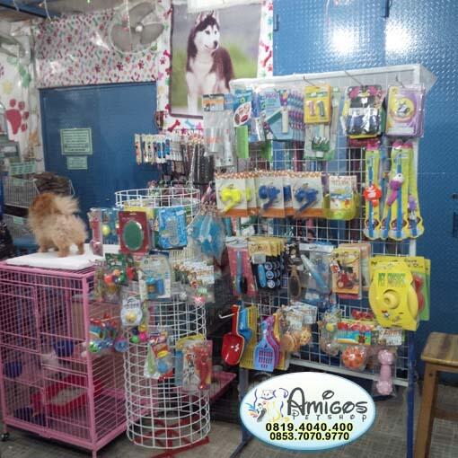 Amigos Petshop Makassar - Petshop Terlengkap dan Terpercaya