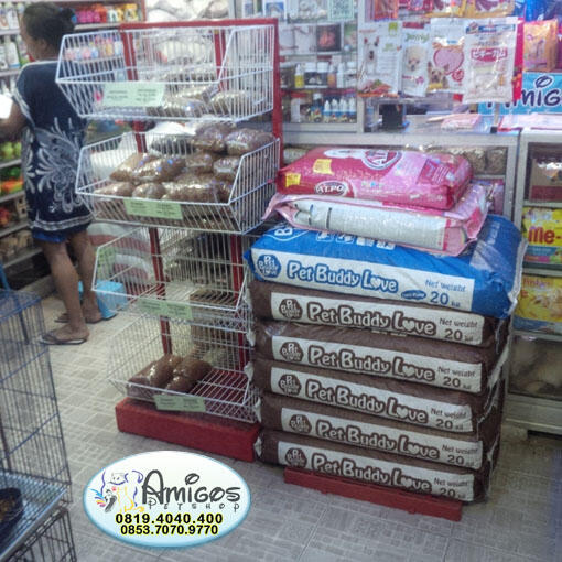 Amigos Petshop Makassar - Petshop Terlengkap dan Terpercaya