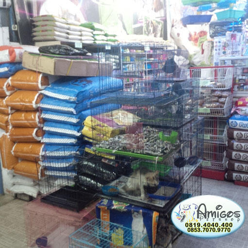 Amigos Petshop Makassar - Petshop Terlengkap dan Terpercaya