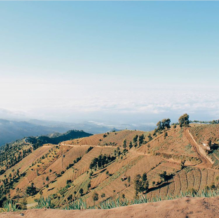 &quot;negeri diatas awan&quot; Lumajang, jawa timur