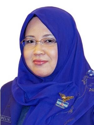 Calon Kepala Daerah Perempuan &amp; Pilkada Serentak 2015 - thred foto
