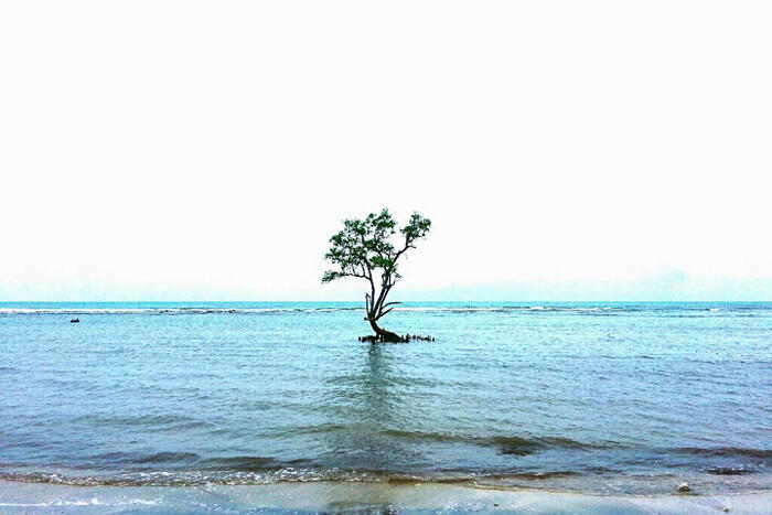 (BEAUTIFUL ACEH) PESONA KEINDAHAN UJUNG KELINDU DI ACEH BESAR