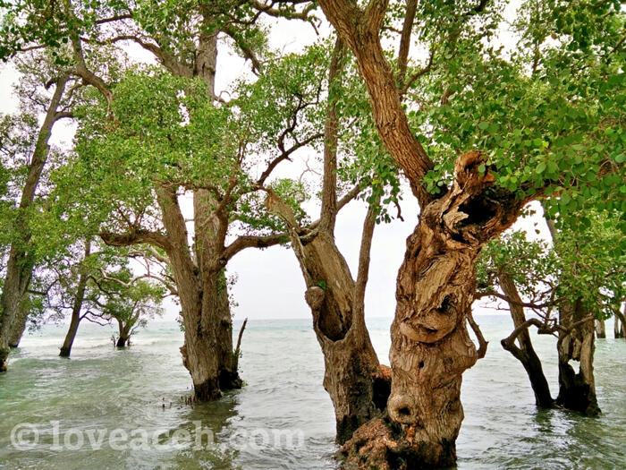 (BEAUTIFUL ACEH) PESONA KEINDAHAN UJUNG KELINDU DI ACEH BESAR