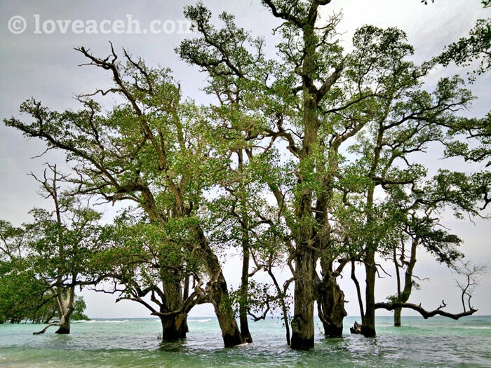 (BEAUTIFUL ACEH) PESONA KEINDAHAN UJUNG KELINDU DI ACEH BESAR