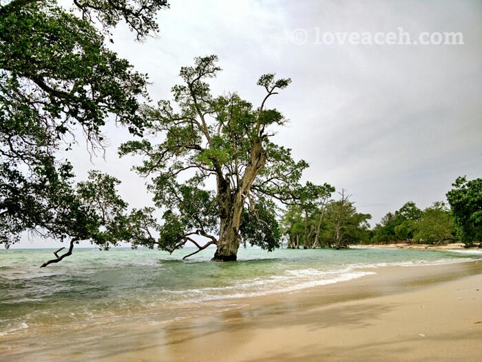 (BEAUTIFUL ACEH) PESONA KEINDAHAN UJUNG KELINDU DI ACEH BESAR