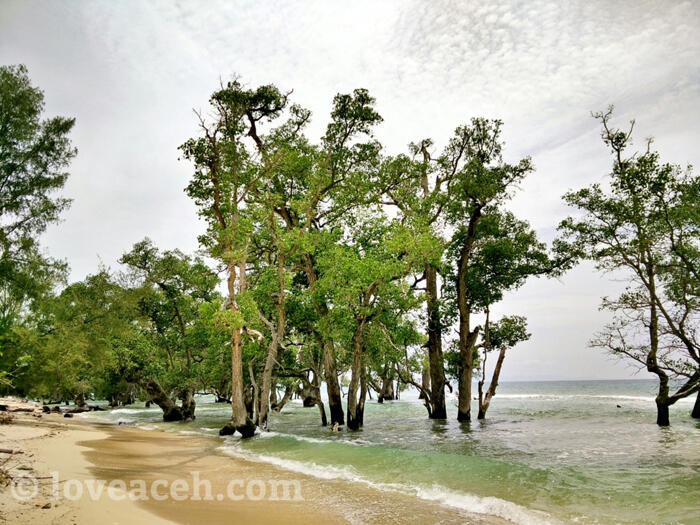 (BEAUTIFUL ACEH) PESONA KEINDAHAN UJUNG KELINDU DI ACEH BESAR