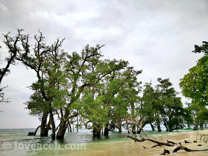 (BEAUTIFUL ACEH) PESONA KEINDAHAN UJUNG KELINDU DI ACEH BESAR