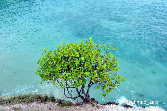 (BEAUTIFUL ACEH) PESONA KEINDAHAN UJUNG KELINDU DI ACEH BESAR