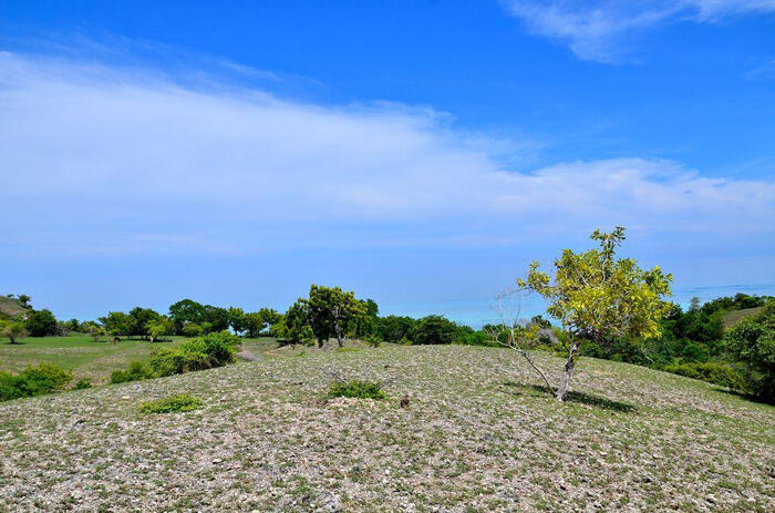 (BEAUTIFUL ACEH) PESONA KEINDAHAN UJUNG KELINDU DI ACEH BESAR