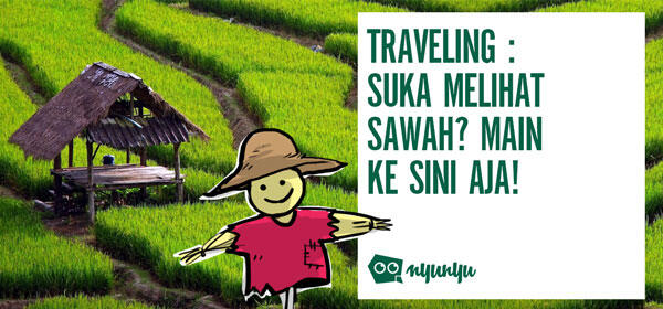 Traveling : Suka Melihat Sawah Di Indonesia? Main ke Sini Aja Gansis!