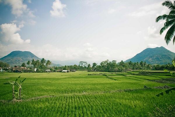 Traveling : Suka Melihat Sawah Di Indonesia? Main ke Sini Aja Gansis!