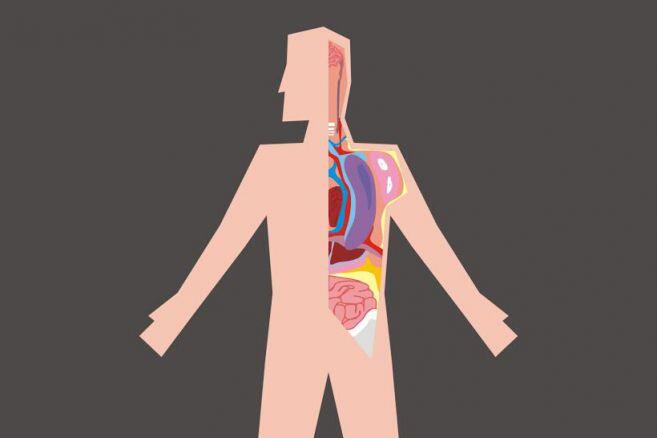 Video : Penjelasan Ilmiah Tentang Kondisi Tubuh Dalam 24 Jam