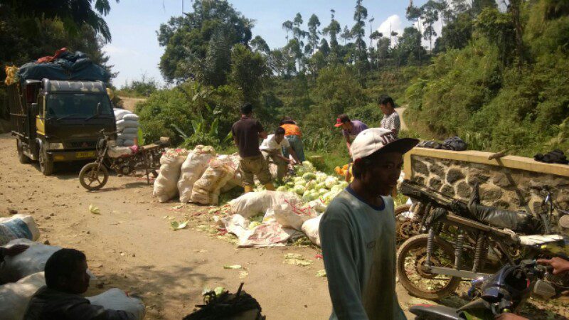 MASUKK GAN, INVESTASI MINIM RESIKO, OPEN MANAGEMENT... barangkali minat