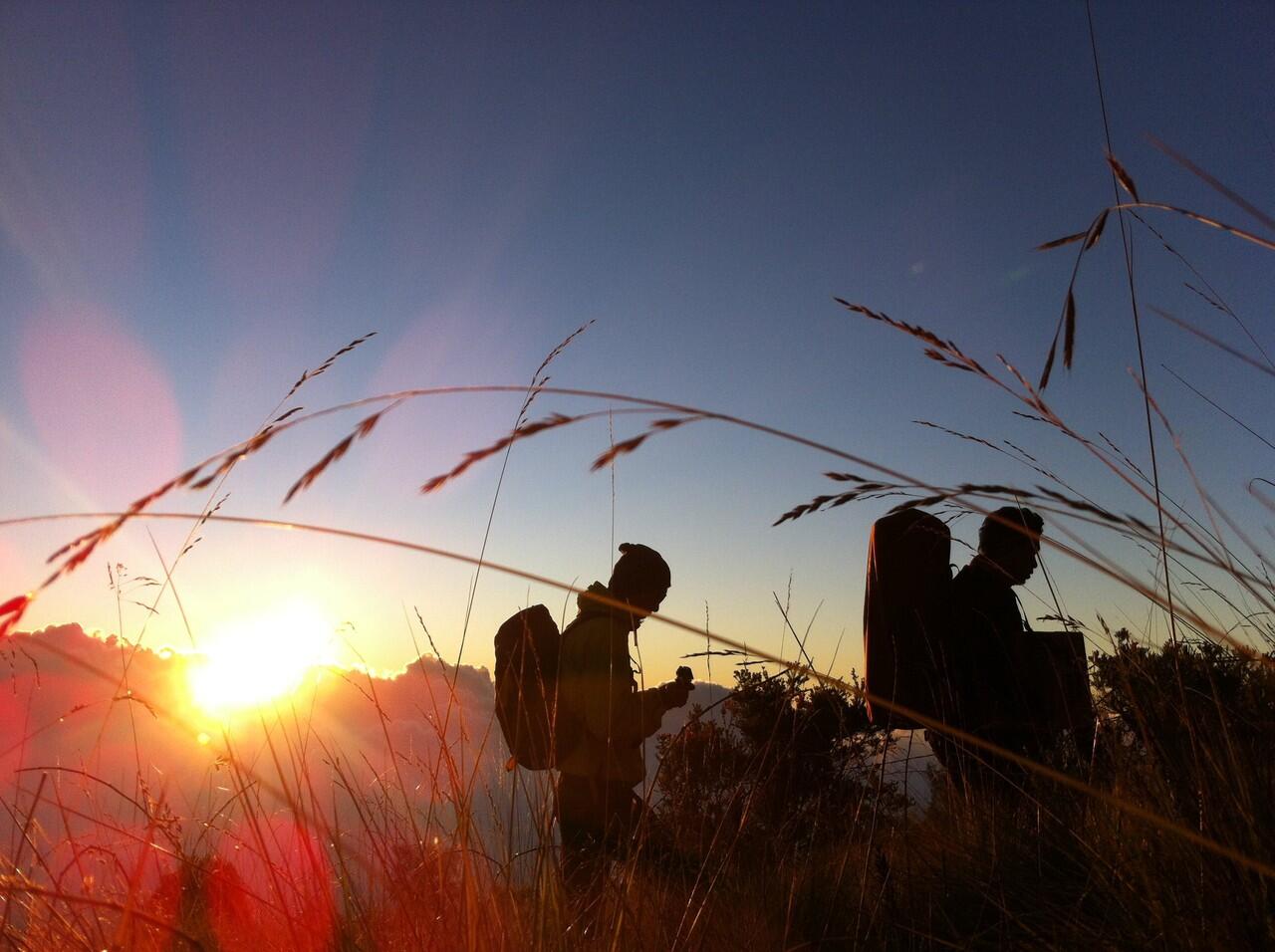 Sante sante dibromo